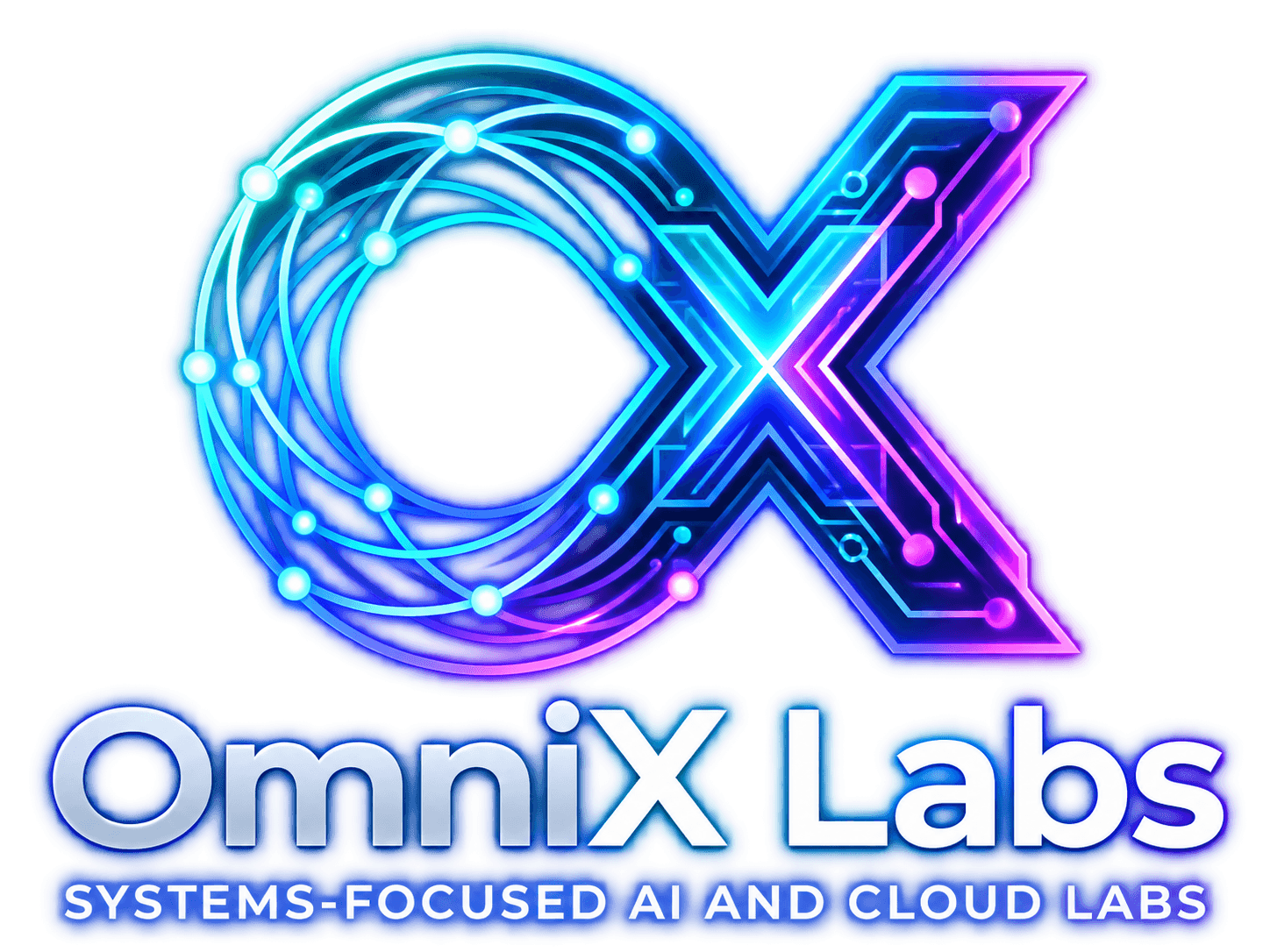 OmniX Labs